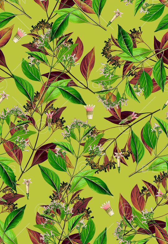 植物印花华亿平台图片