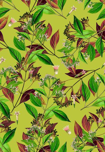 植物印花华亿平台图片