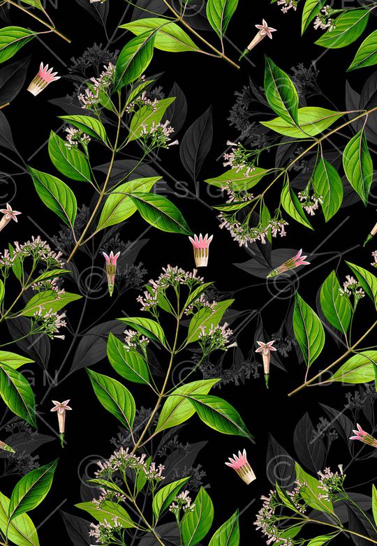 植物印花华亿平台图片