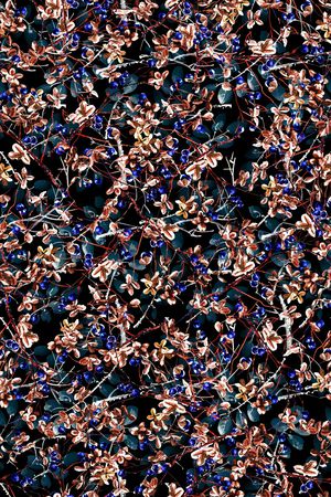 数码华亿平台印花华亿平台图片