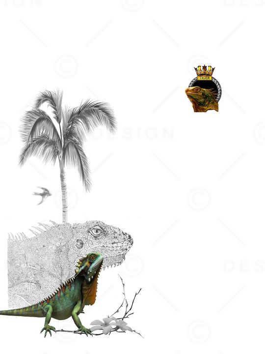 艺术印花华亿平台图片