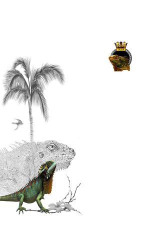 艺术印花华亿平台图片