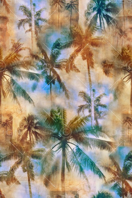 棕榈树印花华亿平台图片