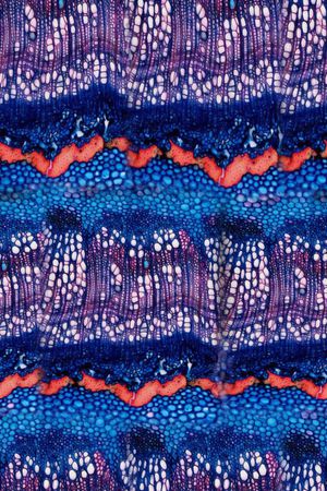 条纹印花华亿平台图片