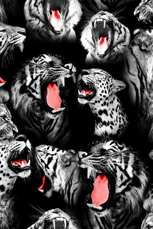 数码华亿平台印花华亿平台图片