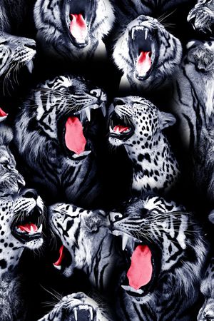 数码华亿平台印花华亿平台图片