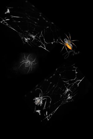 艺术印花华亿平台图片