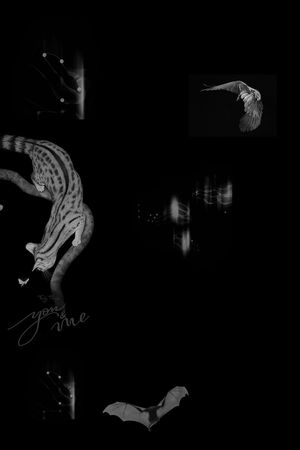 艺术印花华亿平台图片