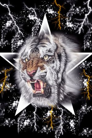 闪电印花华亿平台图片