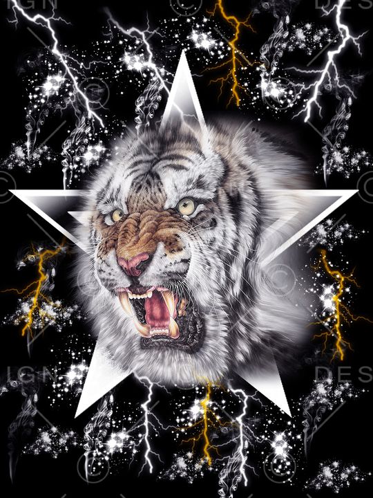 闪电印花华亿平台图片