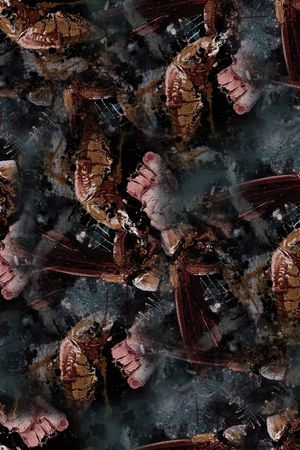 数码华亿平台印花华亿平台图片