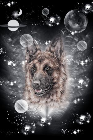 黑白华亿平台印花华亿平台图片