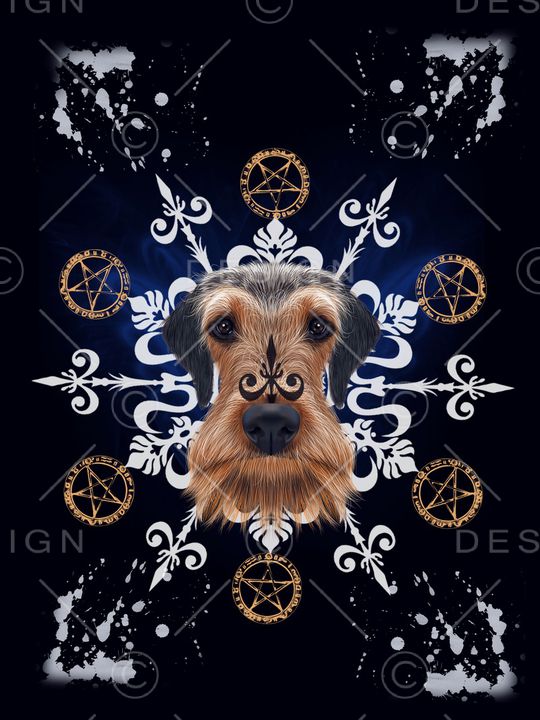 潮牌印花华亿平台图片