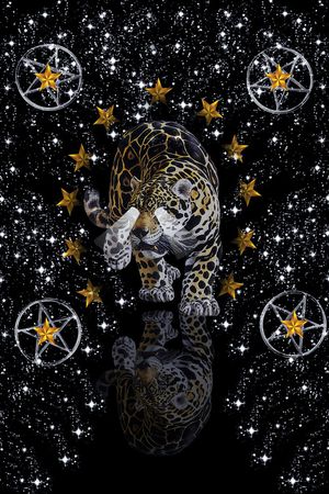 五角星印花华亿平台图片