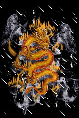 黑白华亿平台印花华亿平台图片