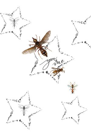 艺术印花华亿平台图片