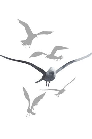 鸟印花华亿平台图片