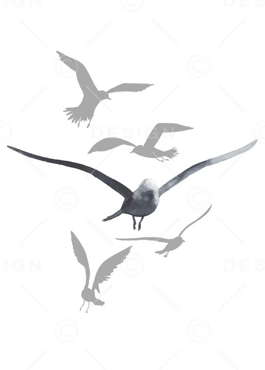 鸟印花华亿平台图片