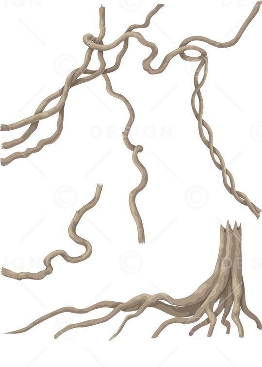 胸前独幅印花华亿平台图片