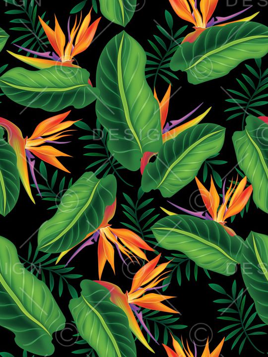 春夏华亿平台印花华亿平台图片