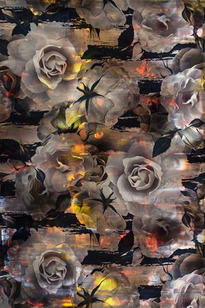 条纹印花华亿平台图片