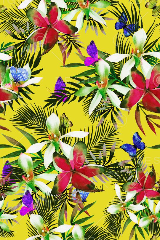 秋冬华亿平台印花华亿平台图片