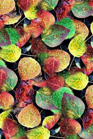 抽象花卉印花华亿平台图片