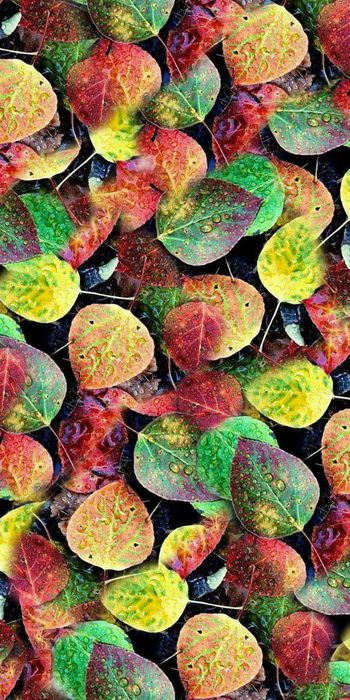 抽象花卉印花华亿平台图片