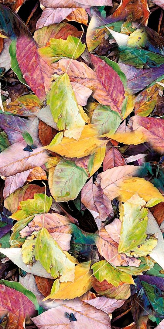 抽象花卉印花华亿平台图片