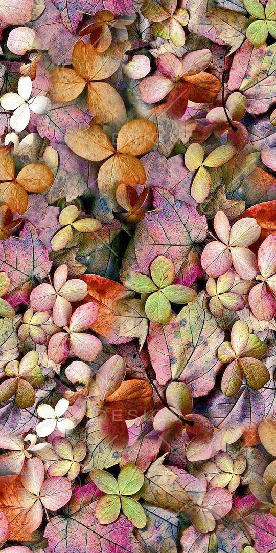 抽象花卉印花华亿平台图片