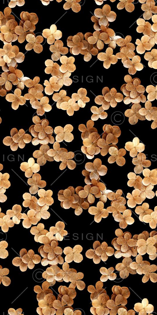 黑底花卉印花华亿平台图片