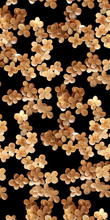 黑底花卉印花华亿平台图片