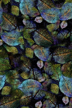 炫彩印花华亿平台图片