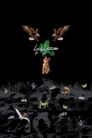 老鹰印花华亿平台图片