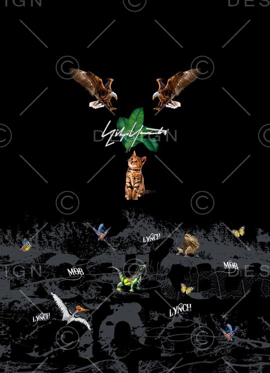 老鹰印花华亿平台图片