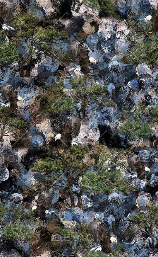 老鹰印花华亿平台图片