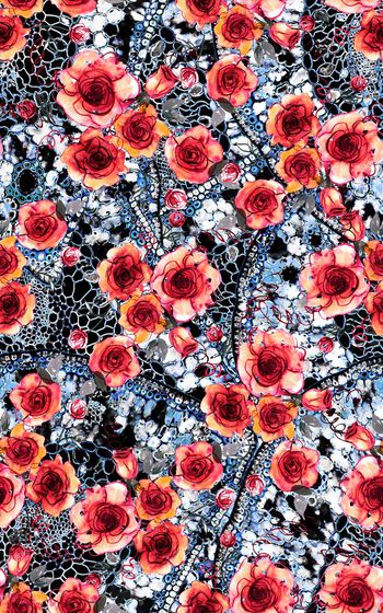 数码华亿平台印花华亿平台图片