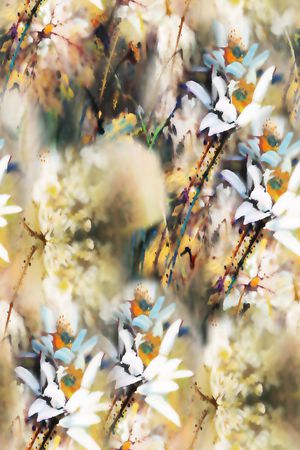 数码华亿平台印花华亿平台图片