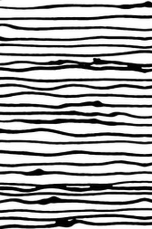 黑白条纹印花华亿平台图片