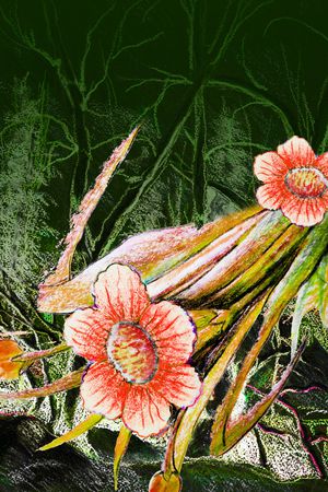 民族风印花华亿平台图片