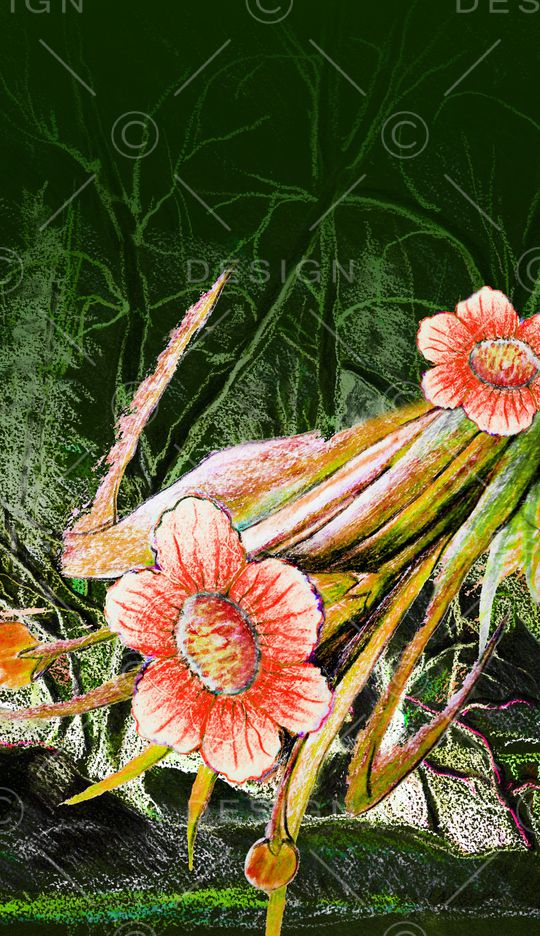 民族风印花华亿平台图片