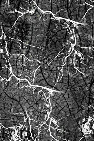 肌理印花华亿平台图片