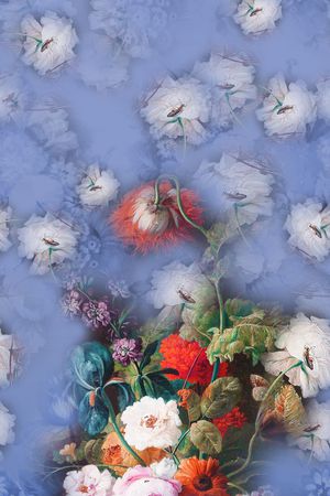 大花印花华亿平台图片