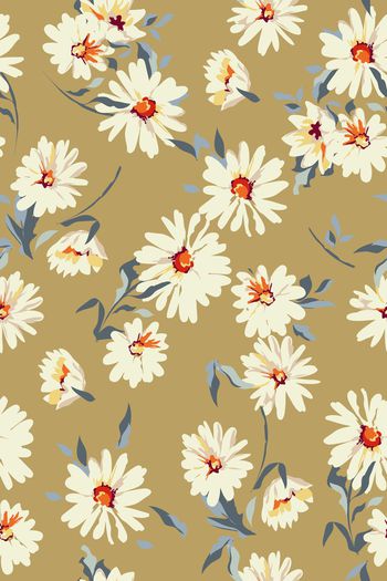 1082551-b433雏菊花卉