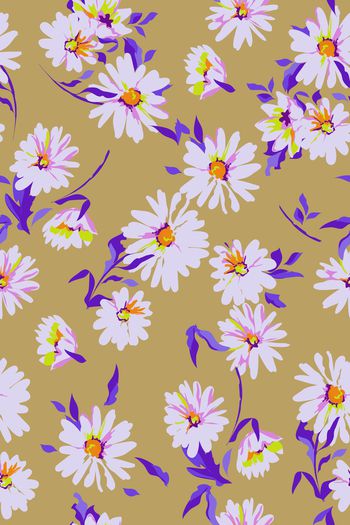 1082555-b433雏菊花卉3