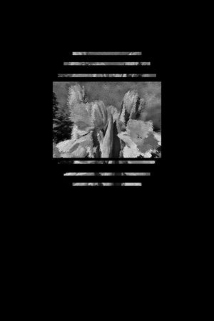 男装印花华亿平台图片