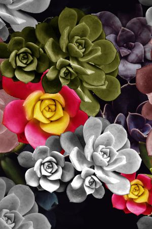 数码华亿平台印花华亿平台图片