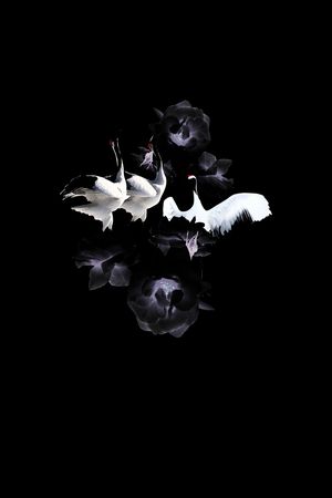 男装印花华亿平台图片