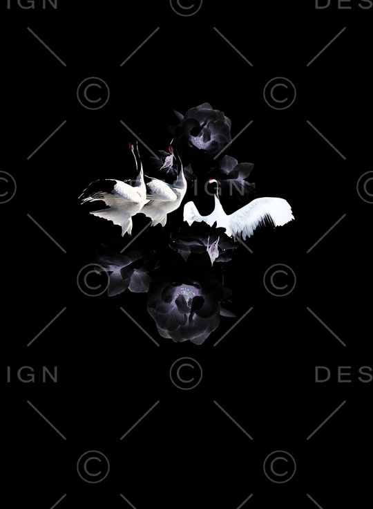 男装印花华亿平台图片