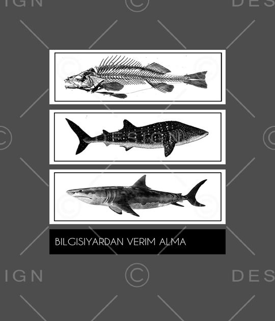 动物印花华亿平台图片